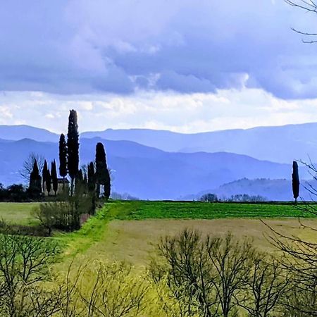 Tuscan Hills Near Florence - Stone House Vicchio Eksteriør billede