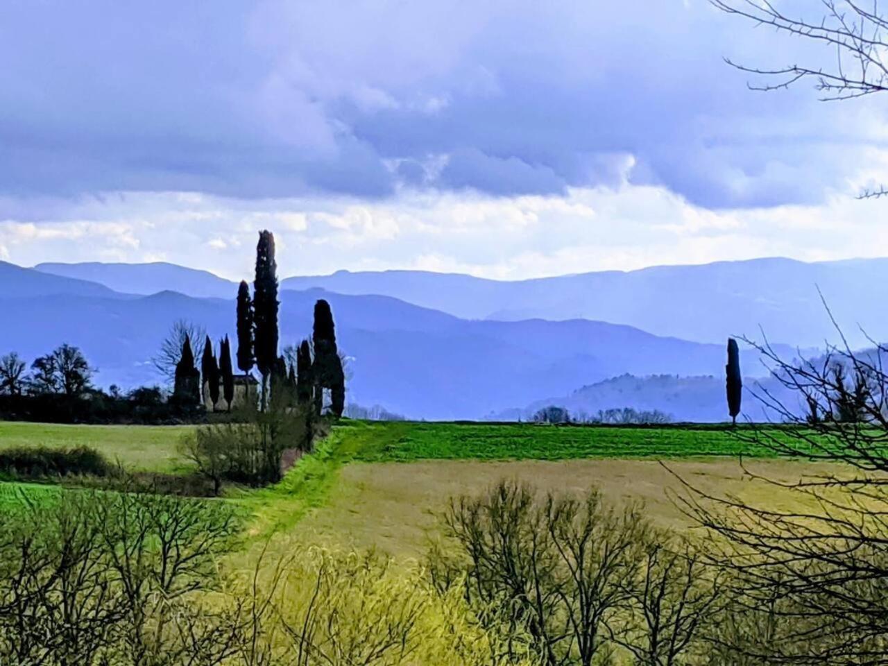 Tuscan Hills Near Florence - Stone House Vicchio Eksteriør billede